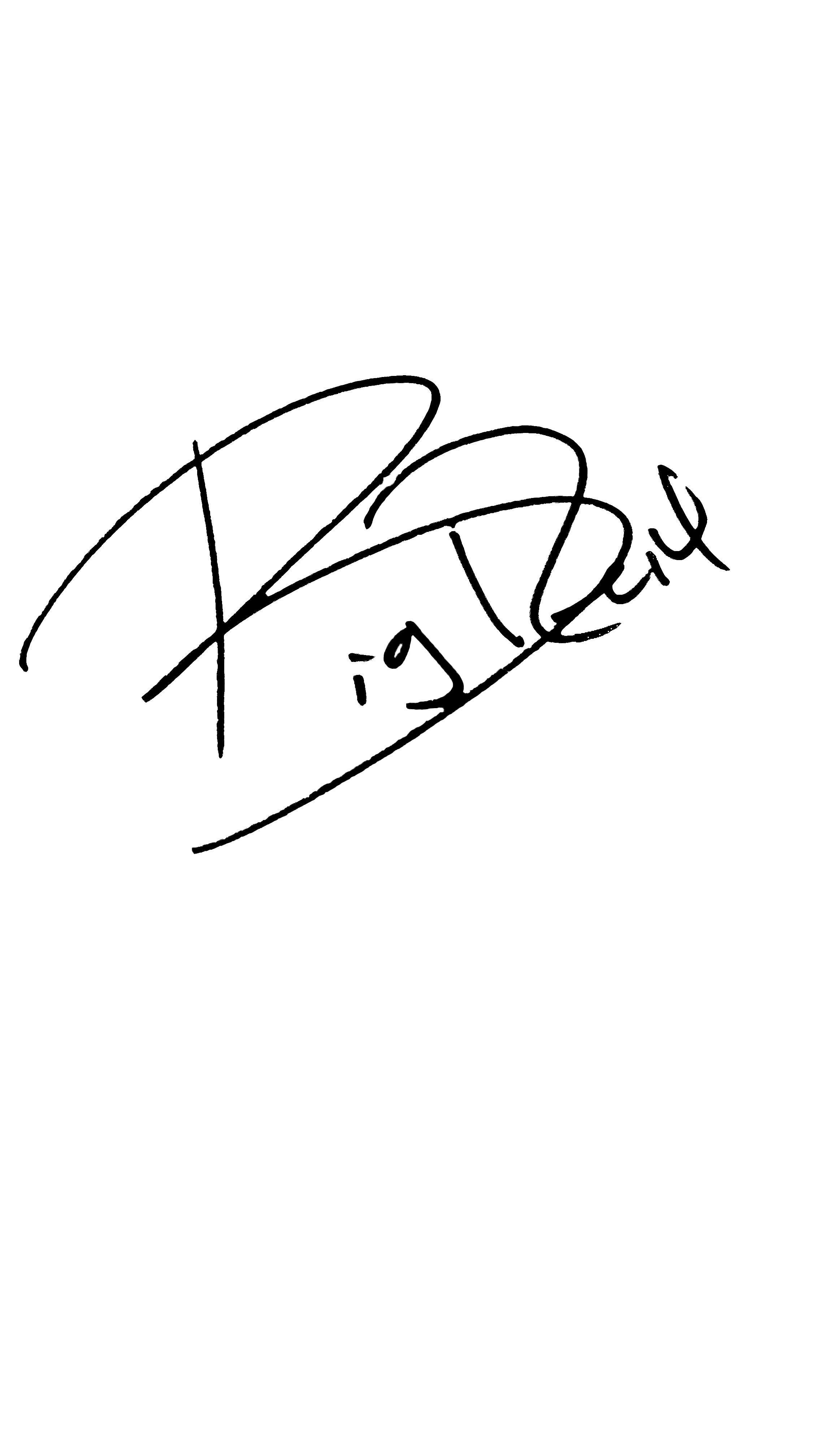 BIG REID SIGNATURE
