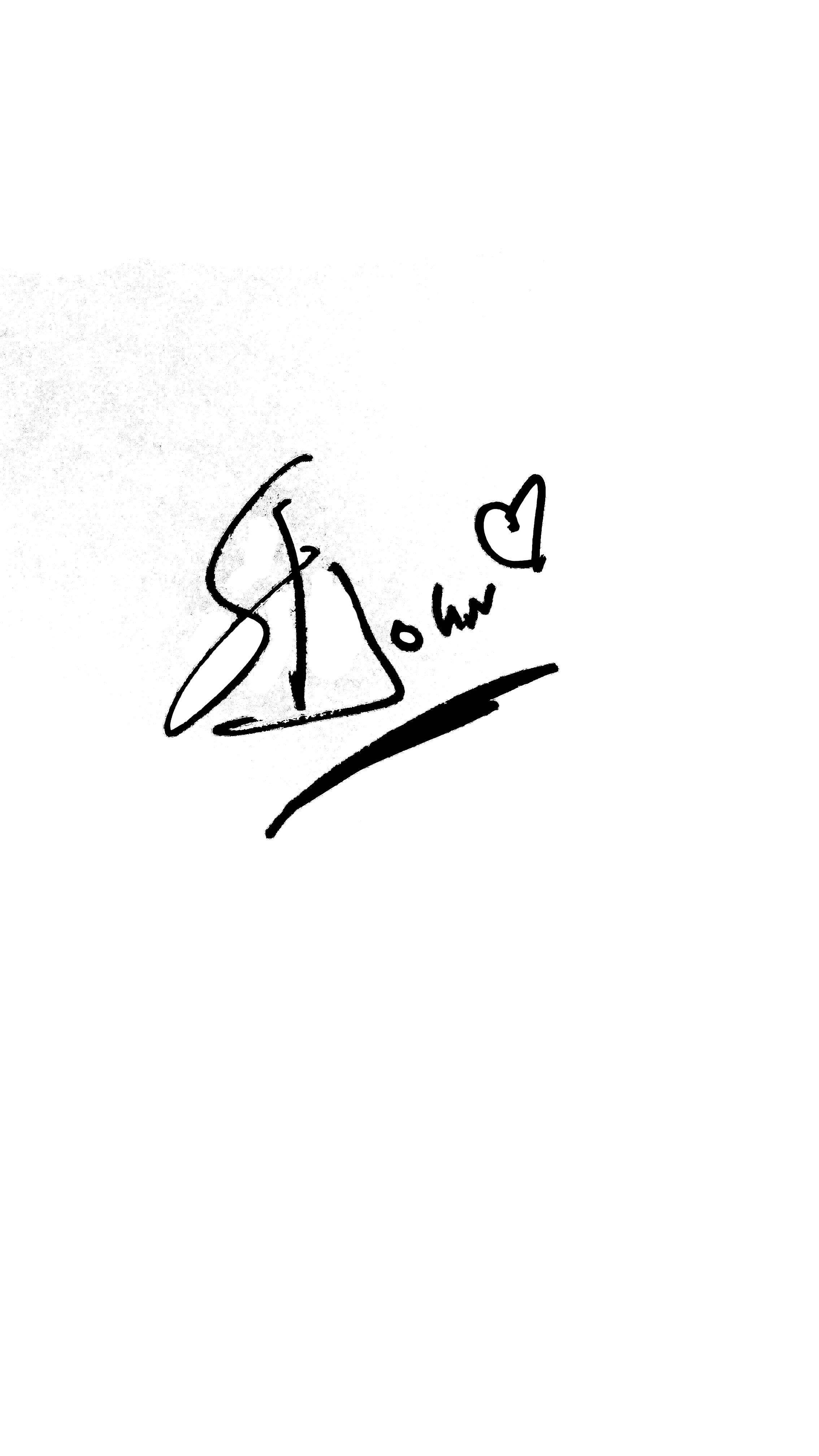 ST JOHN Signature